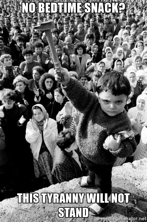 Revolution Kid