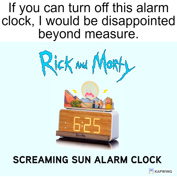Rick and Morty St Flg 