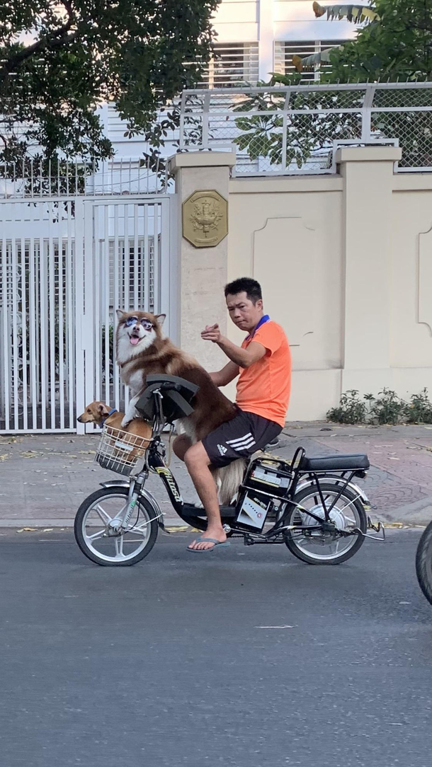 Riding through Vietnam when suddenly