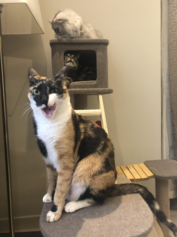 Right before the sneeze
