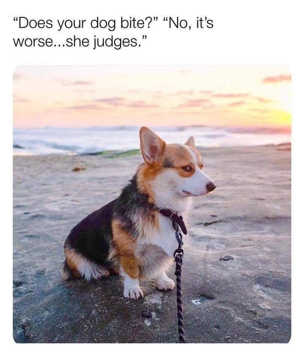 Right in the feels