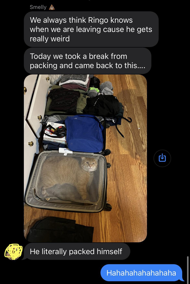Ringo doesnt want to be left behind