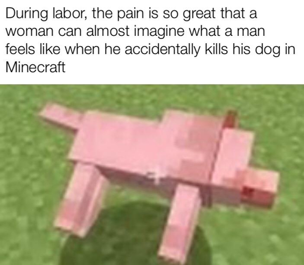 Rip dog
