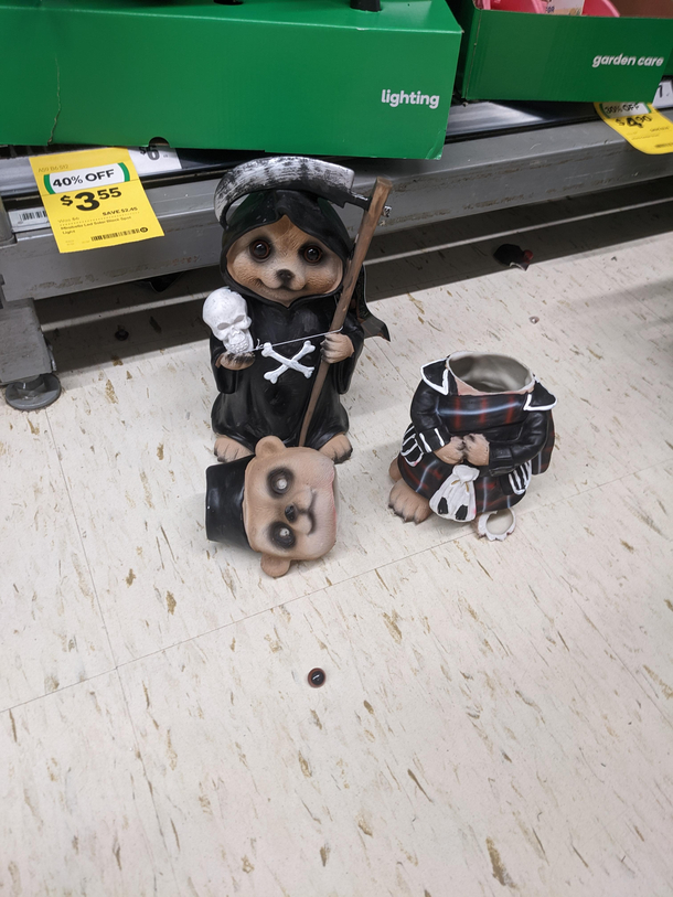 RIP MR Meerkat found this guy broken in woolies so we set this guy up for a laugh