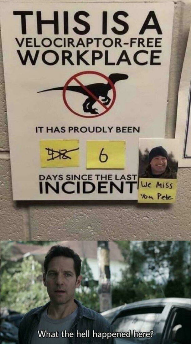 Rip pete