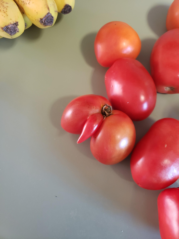 Ripe and packing