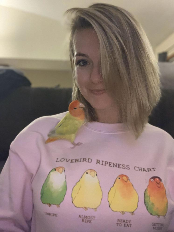 Ripe birds