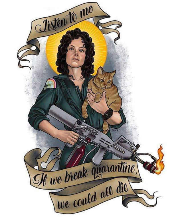 Ripley knows the score