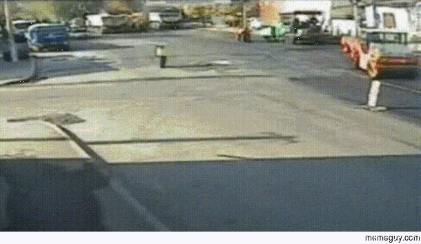 Road Kill