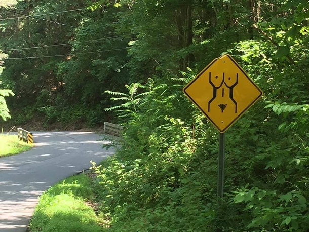 Road Narrows
