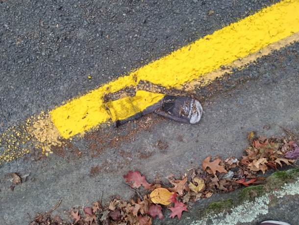 road painters went over a sock
