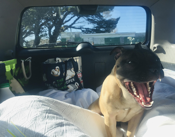 Road Trip