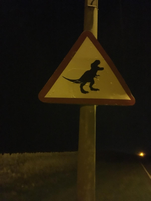 Road warning signs in Wales  I was expecting a sheep