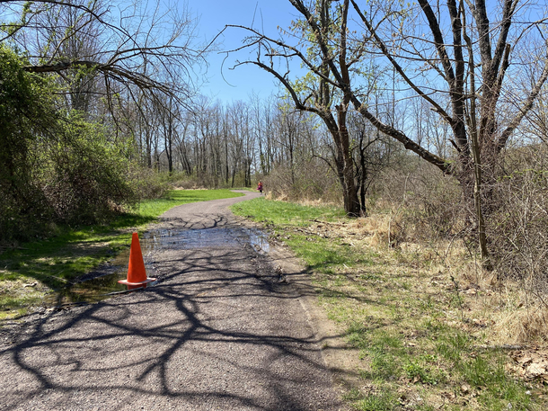 Roads are so bad in Pennsylvania even the park trails have our beautiful state flower