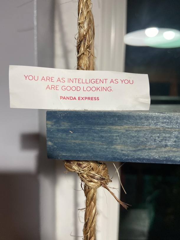 Roasted by my own fortune cookie