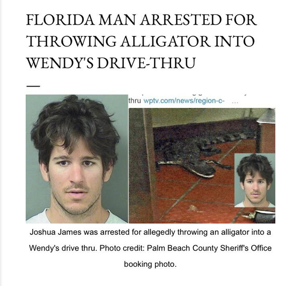 Robbery by Gator