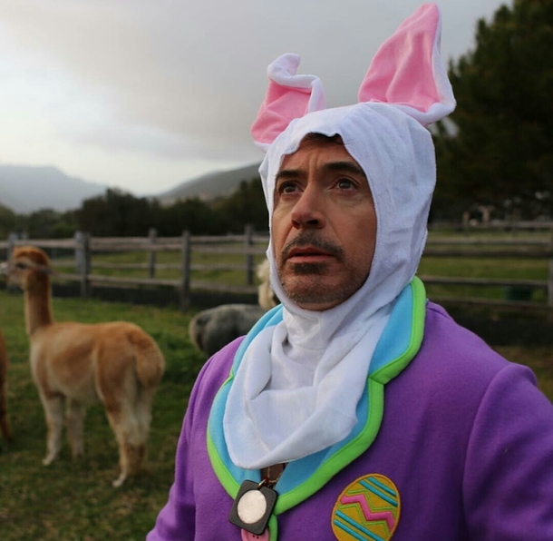 Robert Downey Jr in a bunny suit