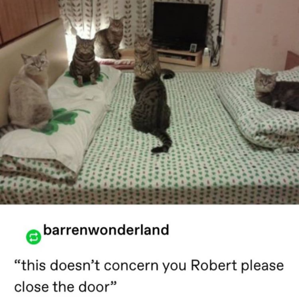 Robertget outta here