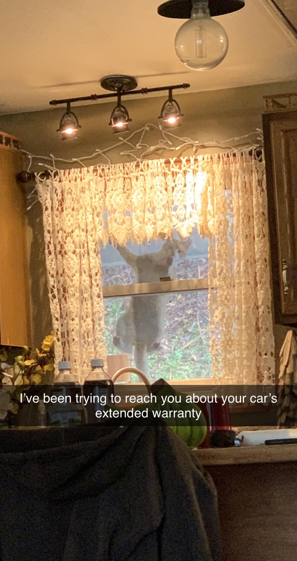 Robocalls are getting out of hand