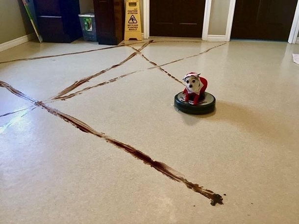 robot vacuum and dog poop doesnt mix