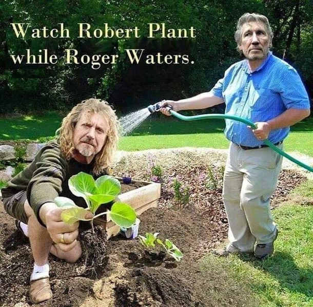 rock agriculture