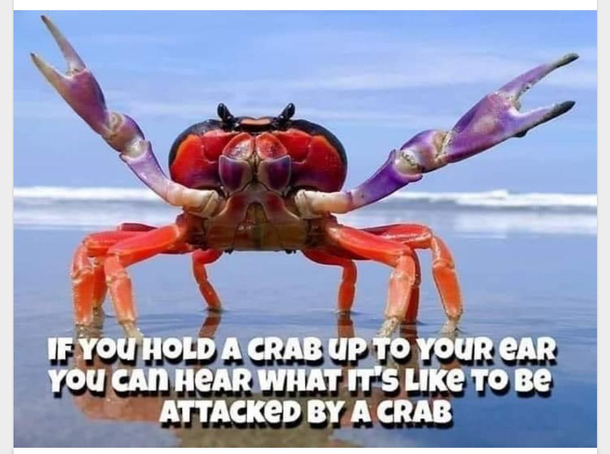 Rock Lobster