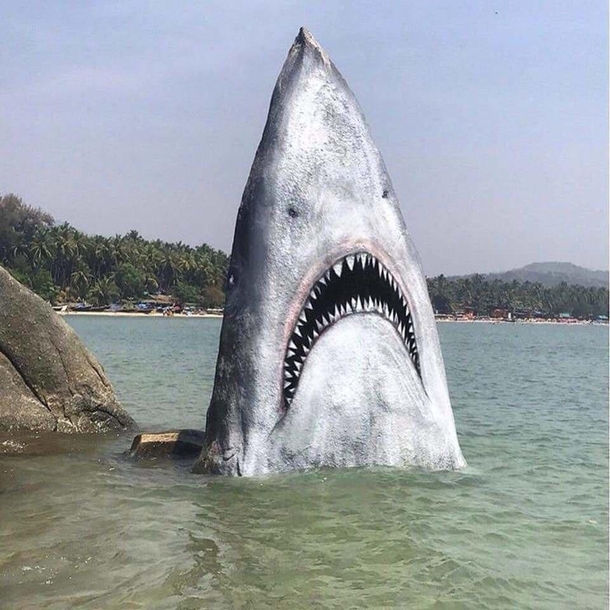 Rock painted as a shark
