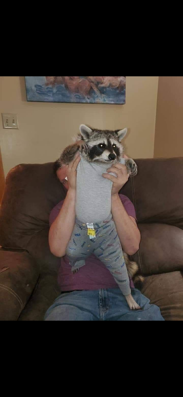 Rocket be looking fresh though