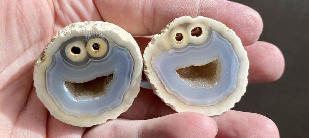 Rocks that look like Cookie Monster