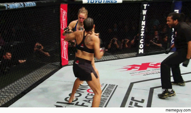 Ronda Rousey gets TKOd by Amanda Nunes