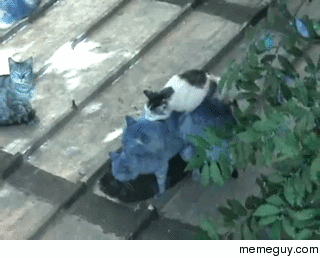 Room for one more