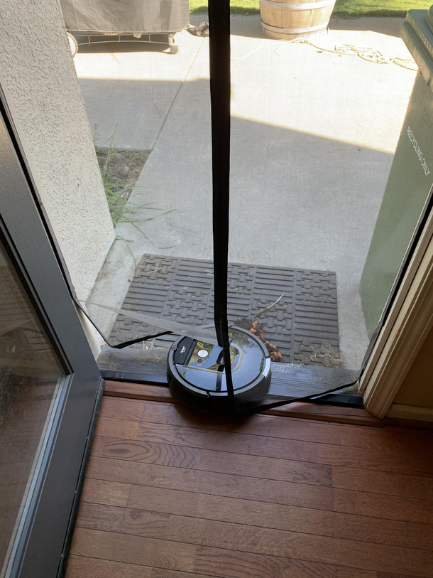 Roomba tried to make a break for it today