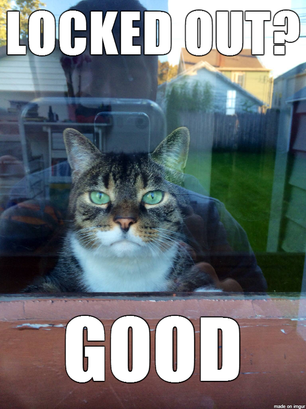 Roscoes response to his human
