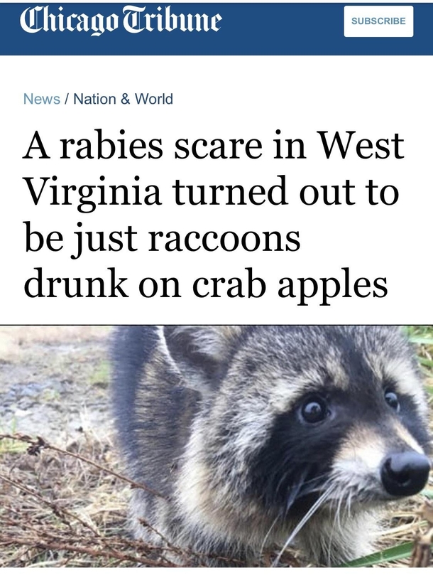 Roses are red churches have chapels