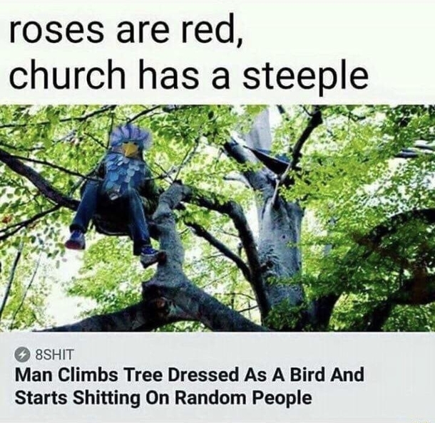 Roses are red I hate all people