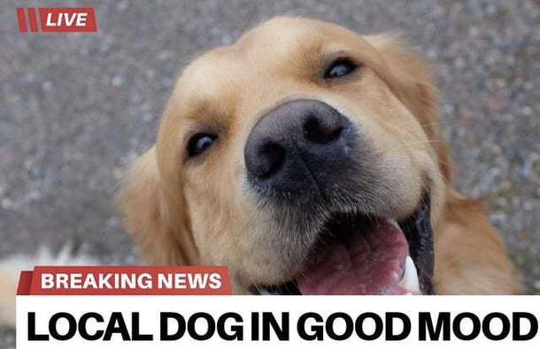 Roses are red i love food
