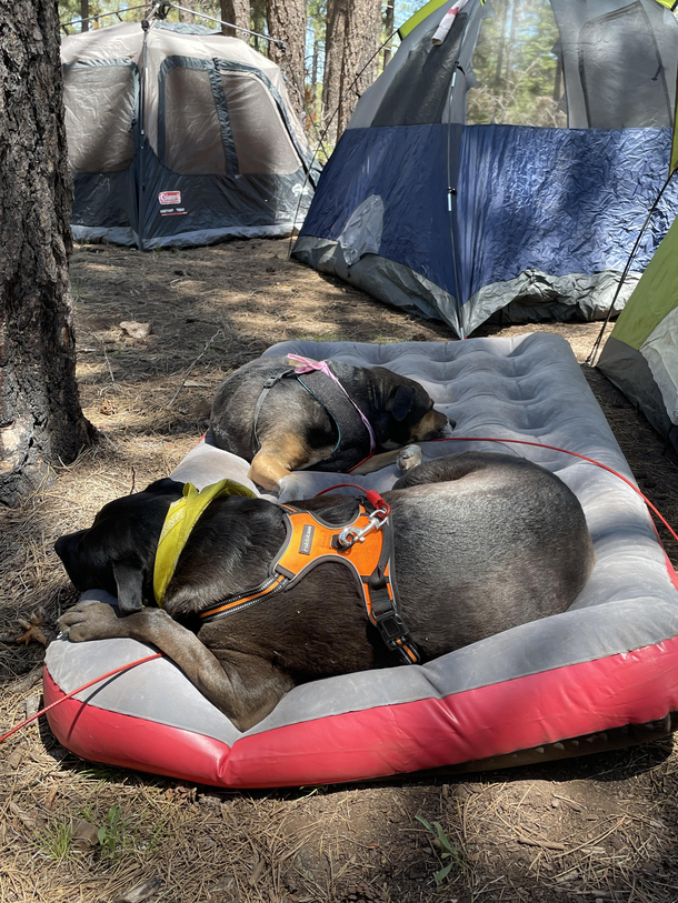 Roughing it