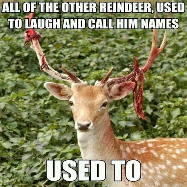 Rudolph the Reindeer just couldnt take the bullying anymore  