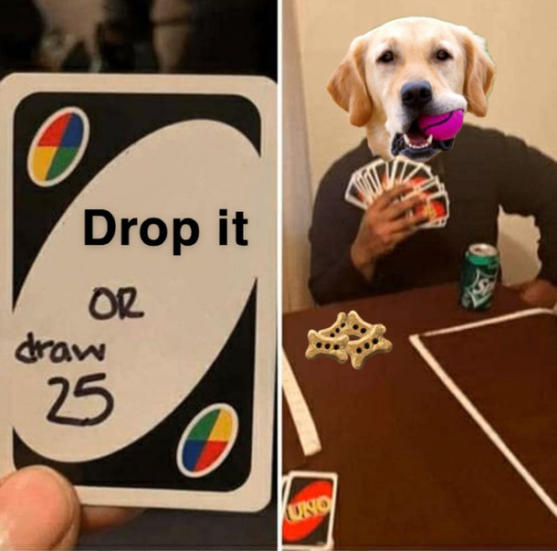 Ruff Choice