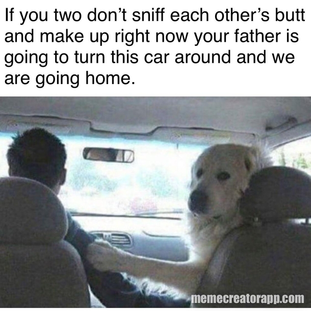 Ruff life