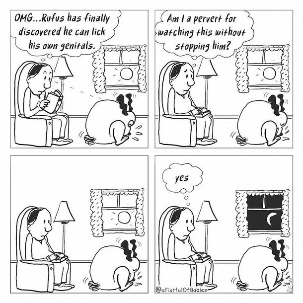 Rufus 
