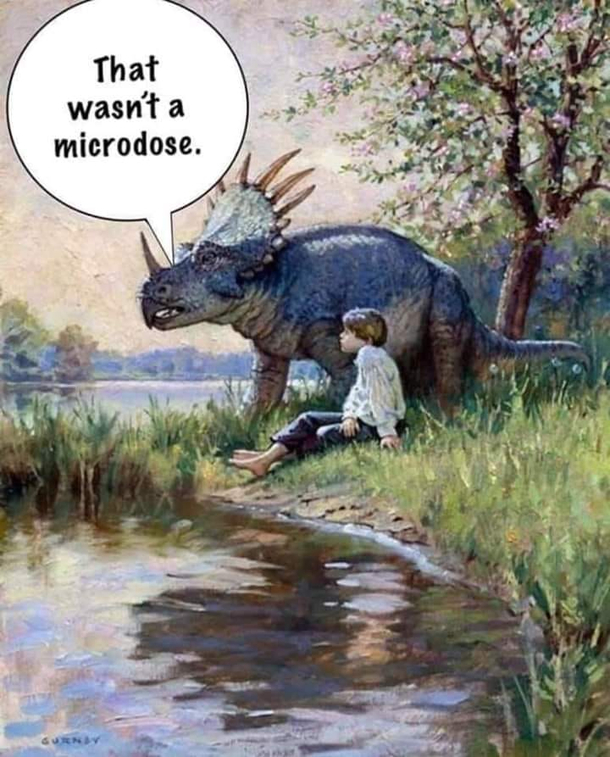ruh roh raggy