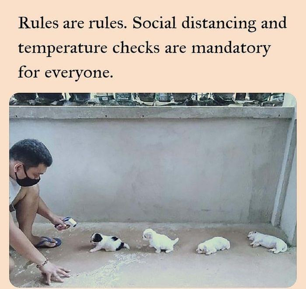 Rules are rules