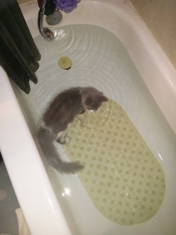 Run a bath for my step son turn around and see this