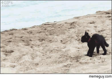 Run away Ruuuuuun