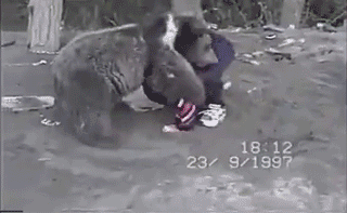 Russian child wrestles bear