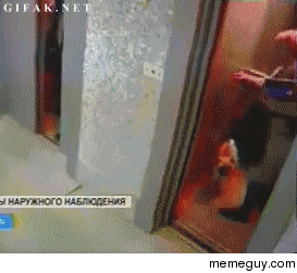 Russian man reacts quickly to save a dog from an elevator