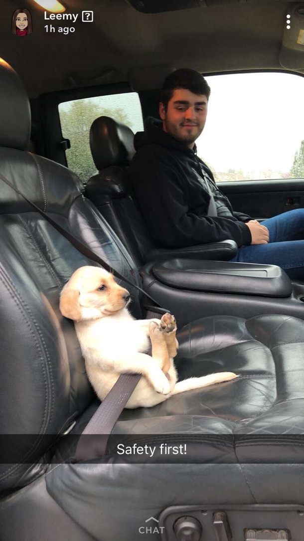 S A F E T Y B O Y E