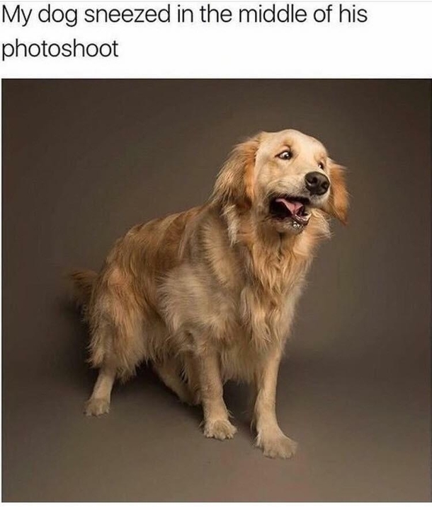 S I C K B O Y E