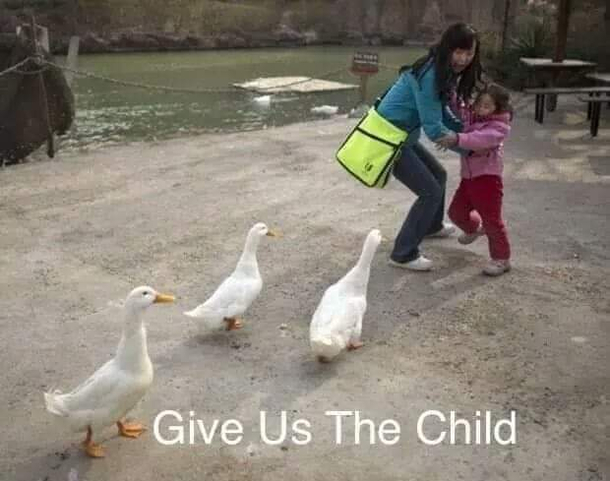 Sacrifice the first born